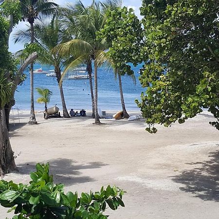 chambre chez l habitant sur la plage les pieds dans l eau, wifi Quartiers Anse a l'Ane Extérieur photo